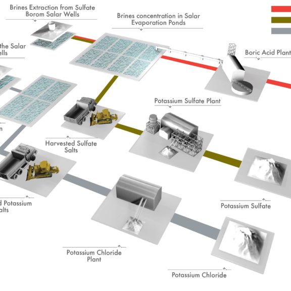 Infographics - Sqm 