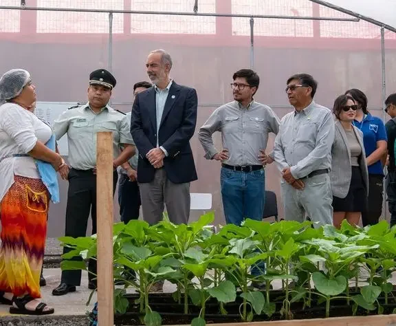 Local officials visit hydroponic center at Iquique correctional facility