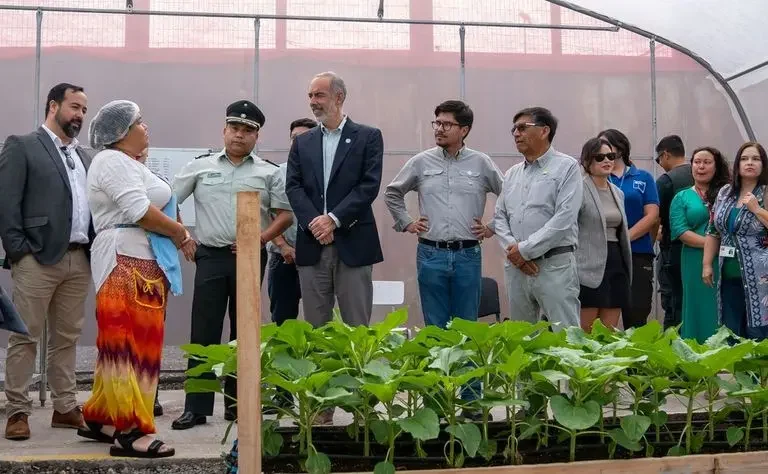 Autoridades locales visitaron centro hidropónico del CCP Iquique