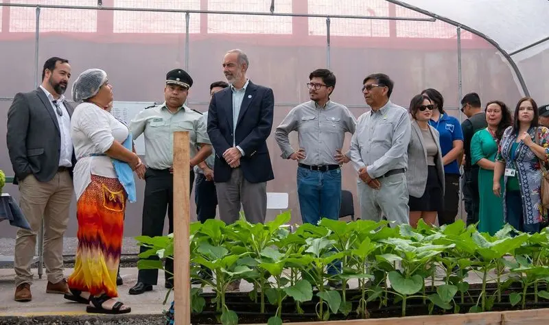 Local officials visit hydroponic center at Iquique correctional facility